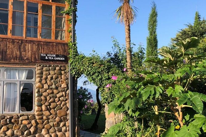1,5 Hours Tea House and Tea Garden Trip in Ozurgeti Georgia - The Three-Tea Tasting at the End
