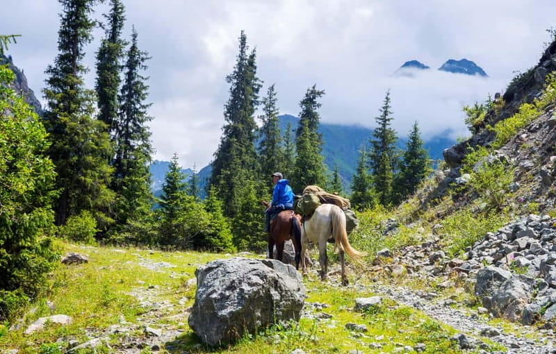 1 Day Horse Riding Adventure in Borjomi Mountains - Key points at a glance