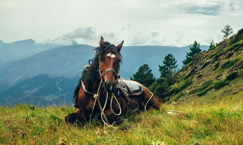 1 Day Horse Riding Adventure in Borjomi Mountains - Leaving Tbilisi for Likani