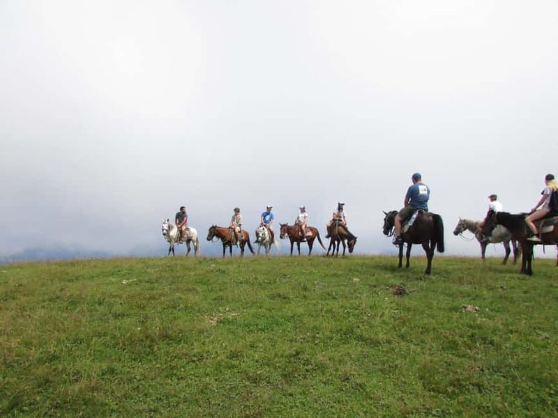 1 Day Horse Riding Adventure in Borjomi Mountains - Why the quiet pace works for beginners