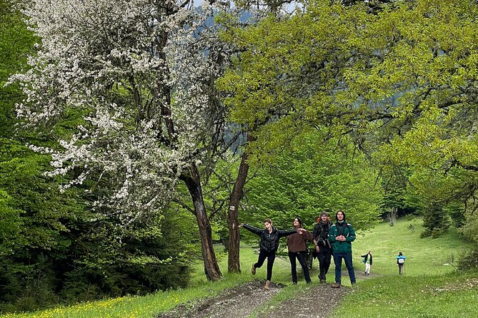 13 km hike in Borjomi - Group tour from Kutaisi - A group hike with real physical limits