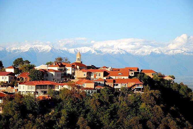 2 Full Day Private Tours from Tbilisi - What the $138.47 price delivers