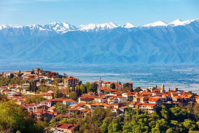 2 Full Day Private Tours from Tbilisi - Should you book it?