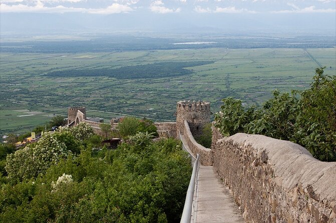 2 Full Day Private Tours from Tbilisi - FAQ