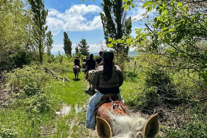 2-hour horse riding tour at Palomino Ranch Near Tbilisi - Key points to know before booking