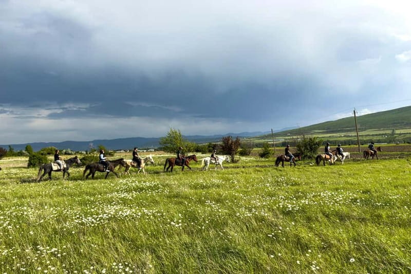 2-hour horse riding tour at Palomino Ranch Near Tbilisi - Leaving Tbilisi for Ferma village