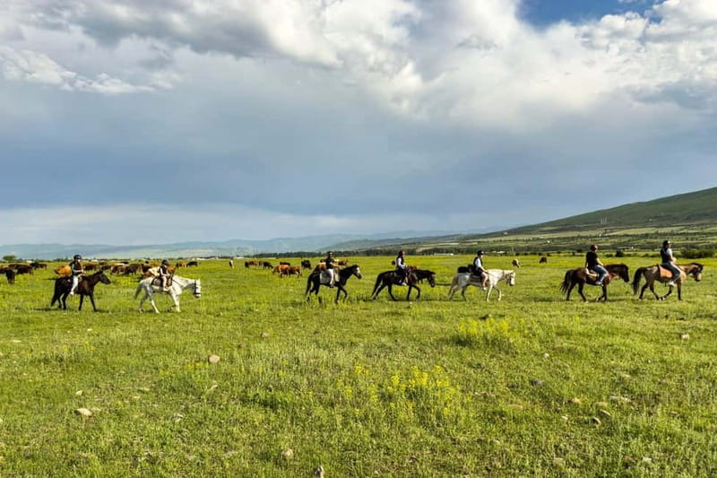 2-hour horse riding tour at Palomino Ranch Near Tbilisi - Who will enjoy Palomino Ranch most?