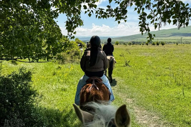 2-hour horse riding tour at Palomino Ranch Near Tbilisi - Meeting your horse and getting ready