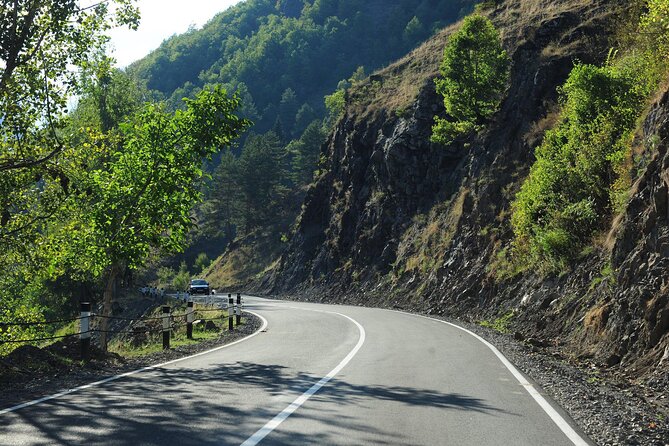 3-Day Private Mestia and Ushguli Tour from Tbilisi - Who should book this three-day trip?