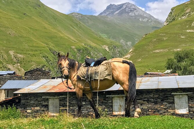3 Day Tusheti Tour Explore Unspoiled Wilderness - Diklo: quiet ruins at the edge of the road