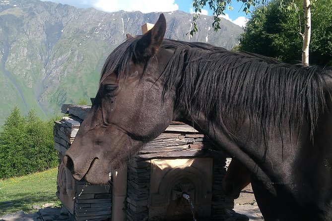 3 Days in Georgia: Private Tour with Wine, Mountains & Culture - FAQ