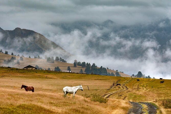 4 Days 3 Nights Tour to Tusheti with Hiikes - Key points to know before booking