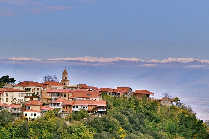 8-Day All About Georgia Tbilisi Guided Tour with Accommodation - What $499 includes, and what it does not