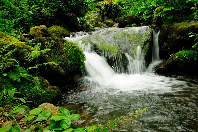 Adjarian Mountains Waterfalls Wine Tour Best views from Batumi Kobuleti - Queen Tamara’s stone arch bridge