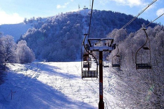 Bakuriani ski resort and the legendary Borjomi (Group Tour) - What the scenery and winter setting offer