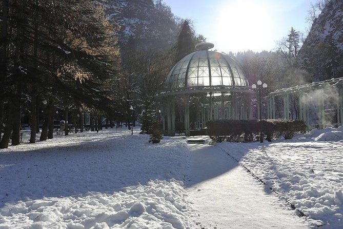 Bakuriani ski resort and the legendary Borjomi (Group Tour) - The return to Borjomi