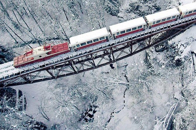 Bakuriani ski resort and the legendary Borjomi (Group Tour) - Riding the Kukushka narrow-gauge railway