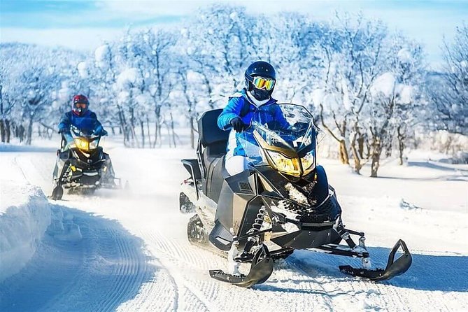 Bakuriani Ski Resort Private Day Tour from Tbilisi Snow Adventure - Borjomi Central Park and the national park setting