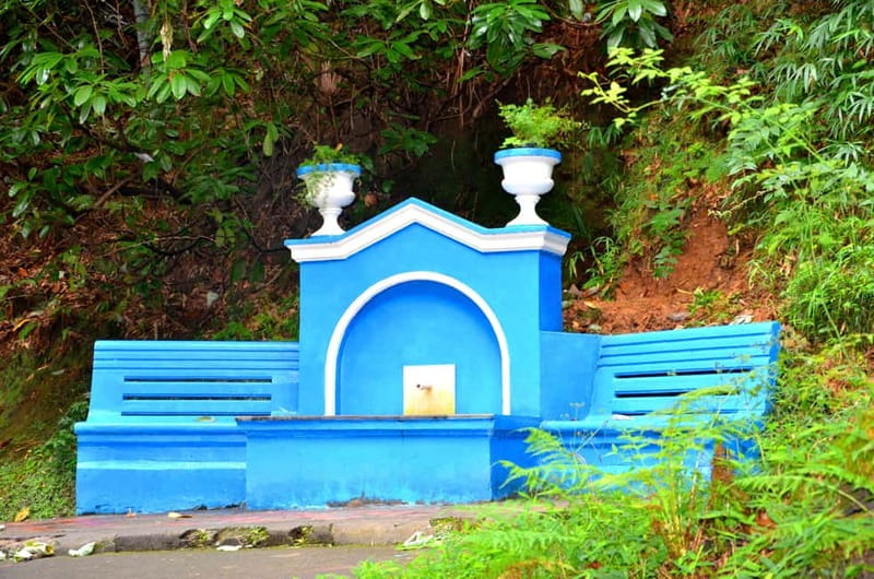 Batumi: Botanical Garden, Petra Fortress and Miniatures Park - Two hours among subtropical plants and sea views