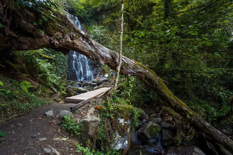 Batumi: Makhuntseti, Machakheta, & Mirveti Tour with Lunch - Makhuntseti Waterfall and the first photo stop
