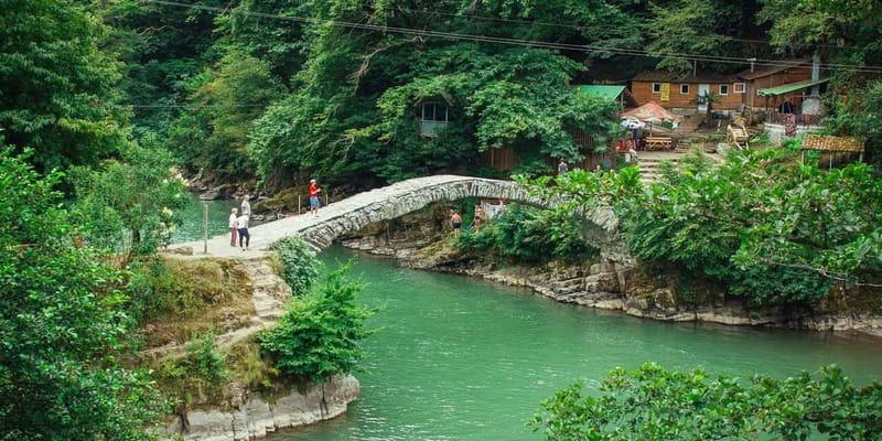 Batumi: Mountain Adjara Tour & Traditional Georgian Feast - Makhuntseti Waterfall and the sound of rushing water