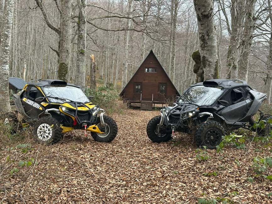 Batumi: Mtirala ATV, Buggy Maverick & Horse Riding Adventure - ATV riding: the best-value motorized choice
