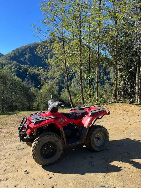 Batumi: Mtirala ATV, Buggy Maverick & Horse Riding Adventure - Local flavor: honey, wine, and chacha