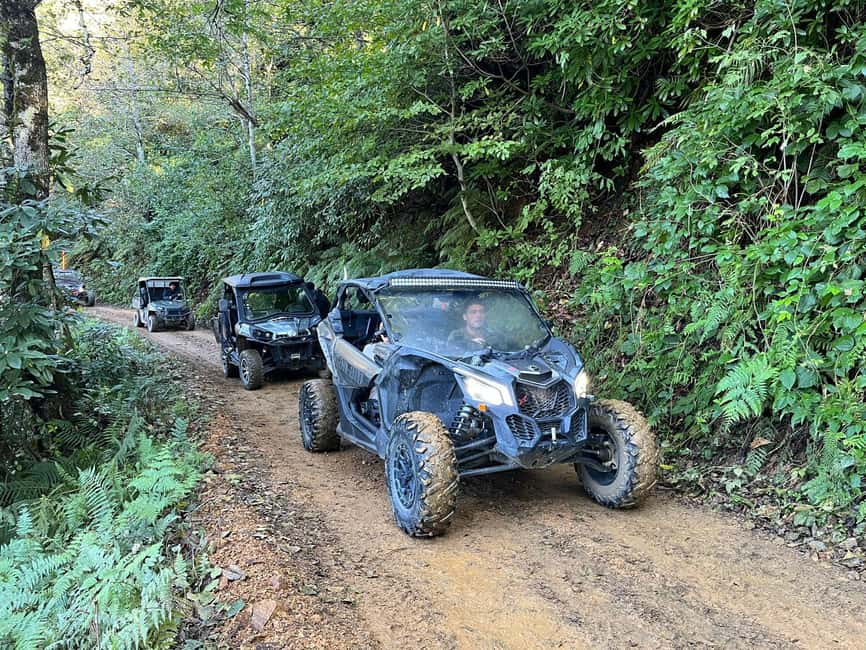 Batumi: Mtirala ATV, Buggy Maverick & Horse Riding Adventure - Two hours in Mtirala National Park