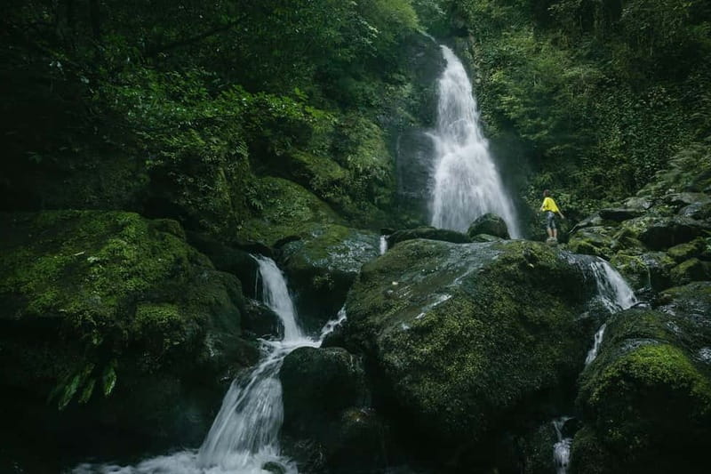 Batumi to Mtirala National park - Half day hiking group tour - Key points to know before you book