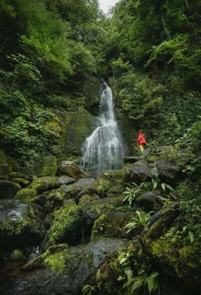 Batumi to Mtirala National park – Half day hiking group tour