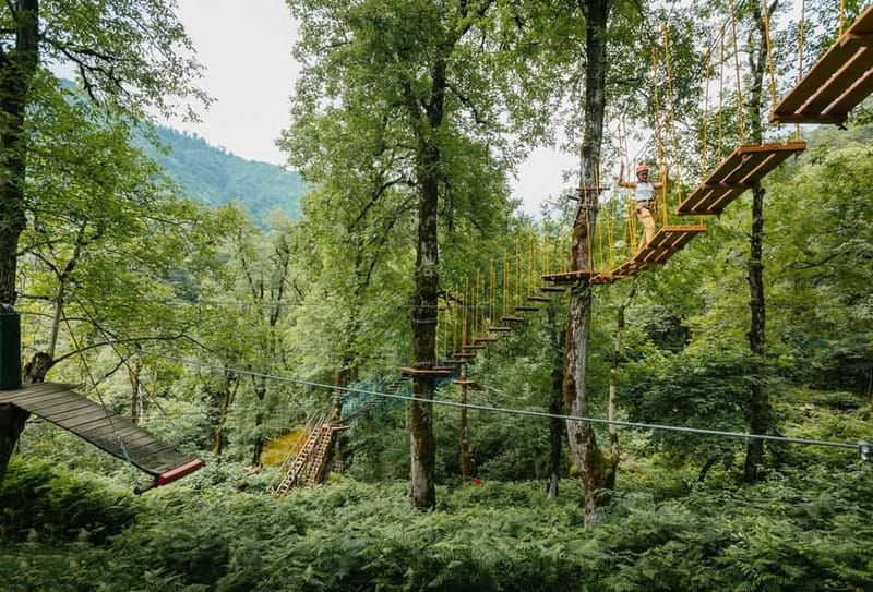Batumi to Mtirala National park - Half day hiking group tour - Is $33 good value for four hours?