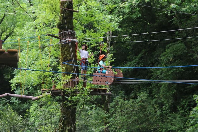 Batumi to Mtirala National park - Half day hiking group tour - Who should book this Mtirala outing?