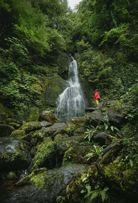 Batumi to Mtirala National park - Half day hiking group tour - Starting at 14:00 in central Batumi