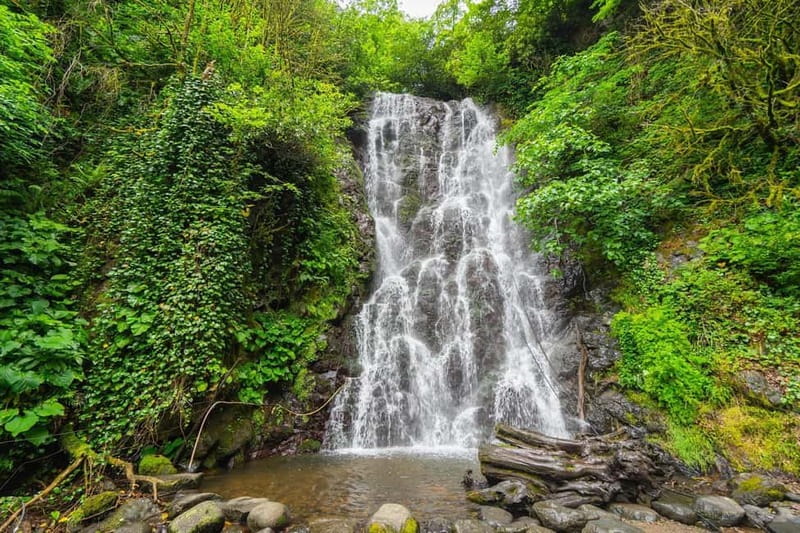 Batumi: Wine & Dine Tour To Waterfalls - Mountainous Adjara - Makhuntseti Waterfall, the tour’s most famous cascade