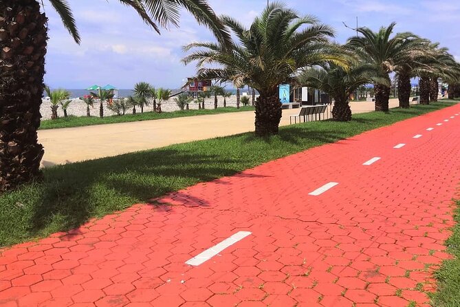 Best of Batumi | Private Walking Tour + Tasting Georgian Wines - Dancing fountains and the tour’s timing question