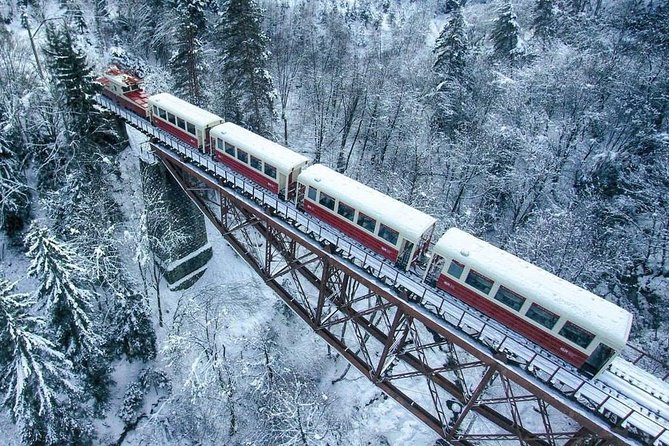 Borjomi/Bakuriani Private Full Day Tour from Tbilisi - Why this Borjomi and Bakuriani day works