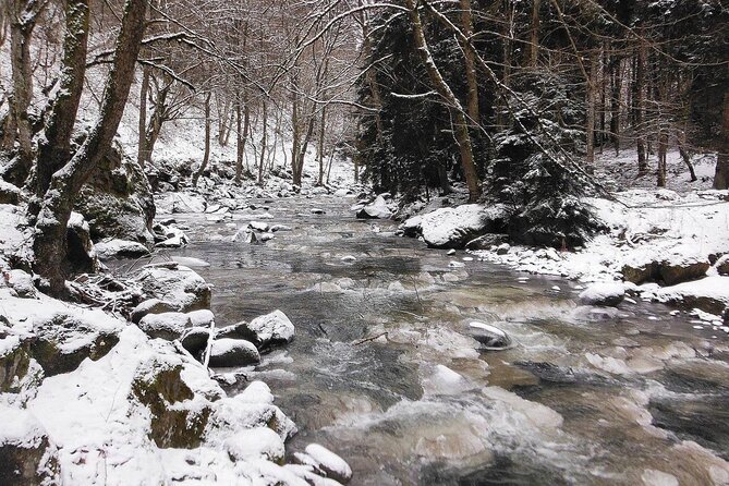 Borjomi Nature Wonderland Guided Tour from Tbilisi - Mtsvane Monastery Among the Trees