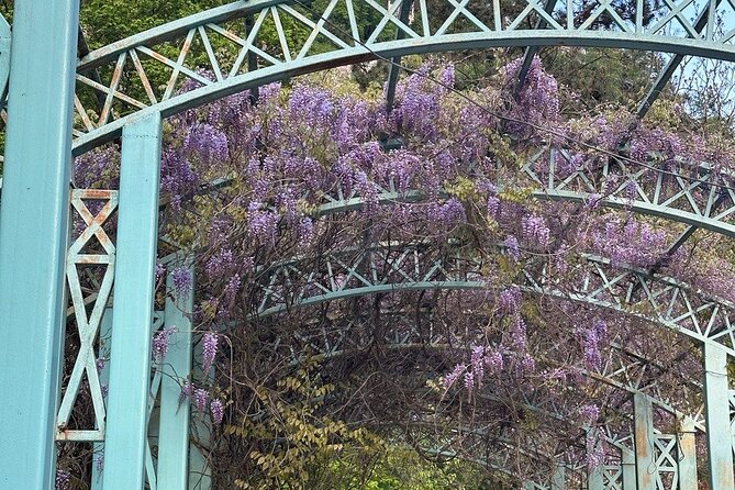 Borjomi Nature Wonderland Guided Tour from Tbilisi - Lunch at a Local Restaurant