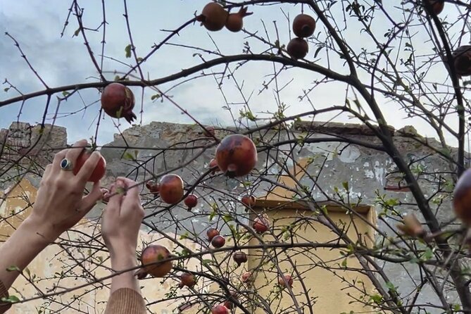 Break Bread with Kutaisi Locals - Walnut-filled badrijani and chicken in baje