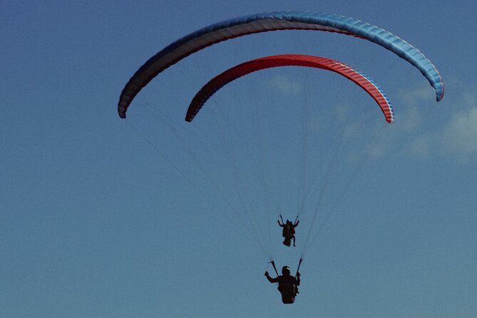 Cloudbase Paragliding in Gudauri, Georgia - Key points before you book