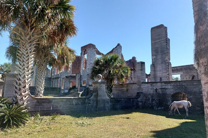 Cumberland Island Walking Tour - Servants’ quarters, laundry rooms, live oaks, and old olive trees
