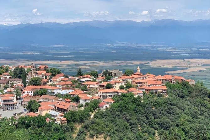 Day tour to Kakheti wine region Georgia - Timing, group size, and the $31 value