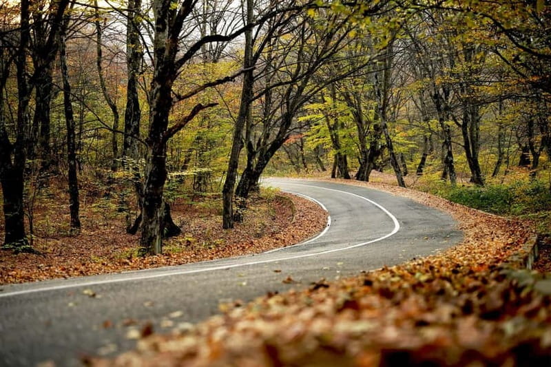 Day trip in Kakheti-Beauty and Love in a Glass Wine - Key points to know before booking