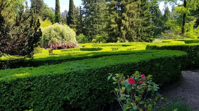 Day trip in Kakheti-Beauty and Love in a Glass Wine - Telavi, plane trees, and the Sekhnika cellar