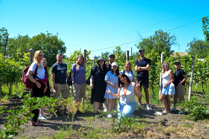 Day Trip to Kakheti Wine Region Including 9 Wine Tastings - The family winery and buried qvevri