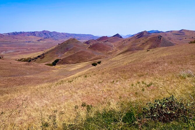 Day Trip to Rainbow Mountains and David Gareja - What the Guides Add to the Day