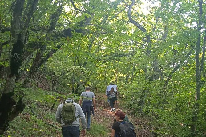 Day Walking Tour/Vashlovani Prot.Area(Eagle Gorge), min 2 persons - Four hours among cliffs and canyon walls