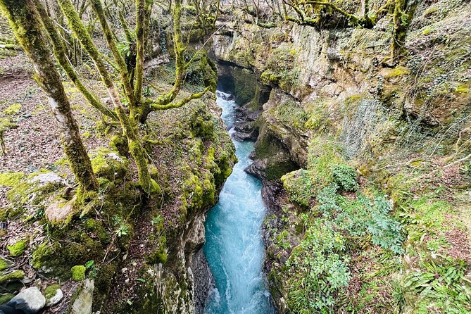 From Kutaisi:Canyons and caves tour with transfer to Tbilisi - Who will enjoy this trip most?