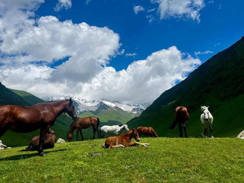 From Kutaisi: Svaneti Mountain Villages 2-Day 4x4 Safari - Practical preparation for the road and trail