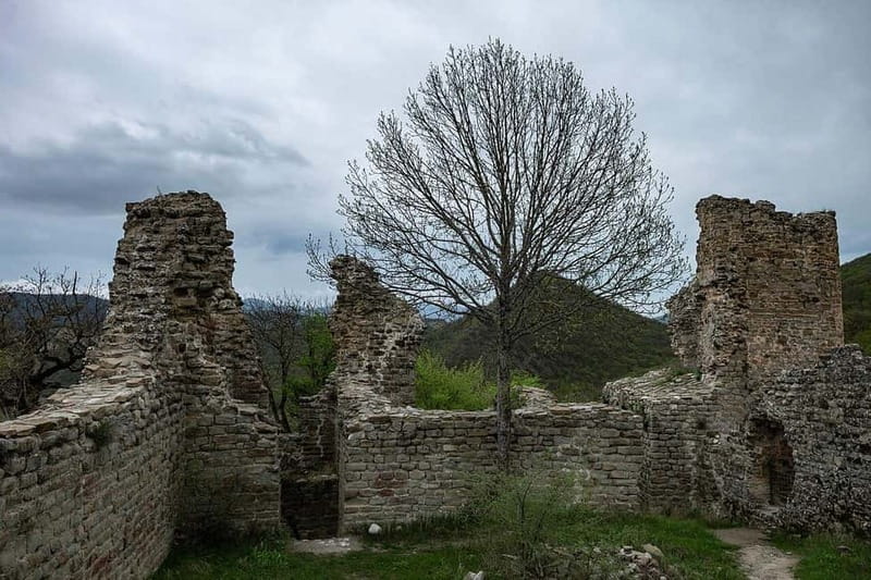 From Tbilisi: Bodbe, Sighnaghi and Telavi Day Trip - Why this Kakheti day trip works